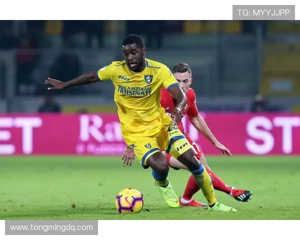 弗罗西诺内俱乐部历史回顾与未来发展：意甲新兴力量崛起的故事