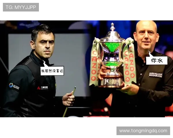 体育明星纷纷亮相全球赛事竞技舞台 各项运动赛事精彩纷呈引发广泛关注