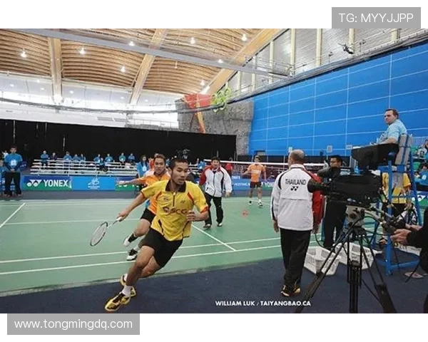 网球赛场新动态：世界排名前十选手激烈争夺赛季最后大奖