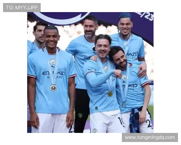 斯旺西俱乐部发布最新赛季阵容更新 引援策略备受关注