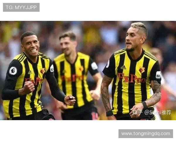 沃特福德俱乐部新赛季战略调整引援动向与球队重建前景分析