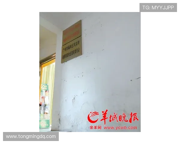 那不勒斯俱乐部新赛季战略调整引发球迷广泛关注管理层动态持续升温